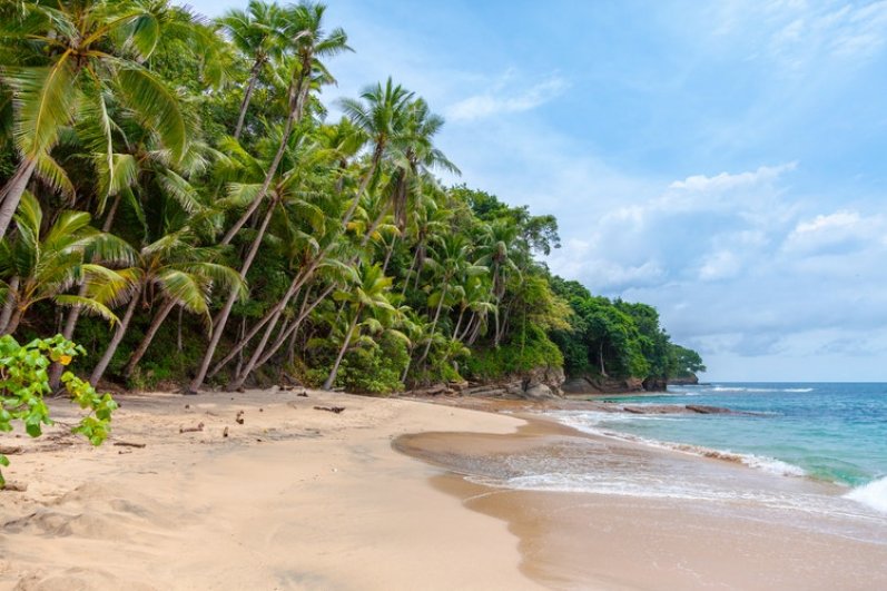 Jungle Beach