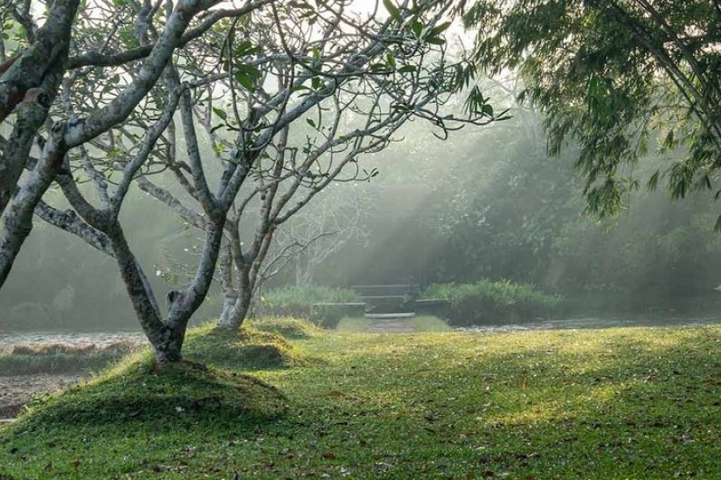 Lunuganga Geoffrey Bawa’s Country