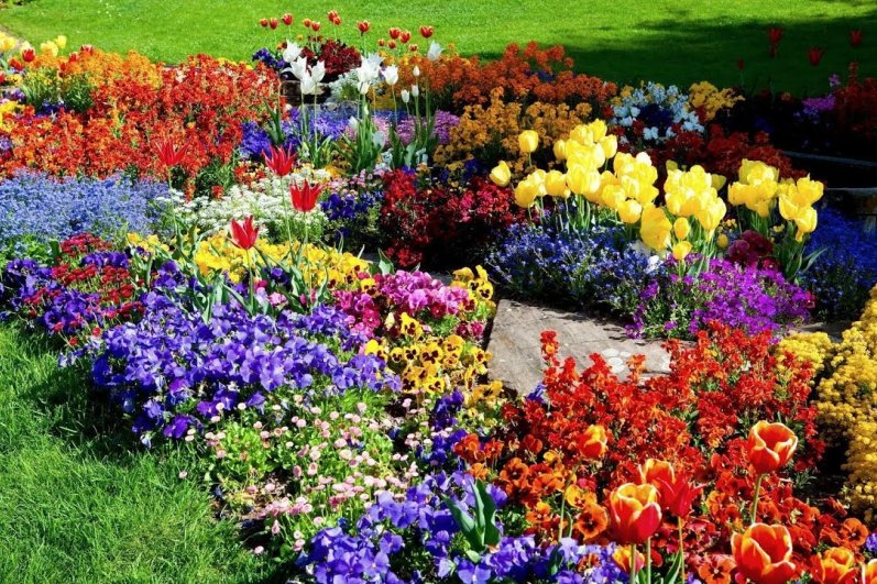 Hakgala Botanical Gardens