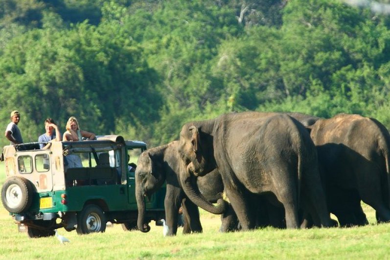 Minneriya National Park