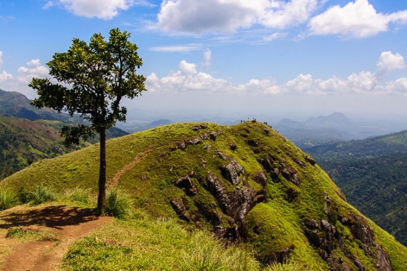 Little Adams Peak - Ella