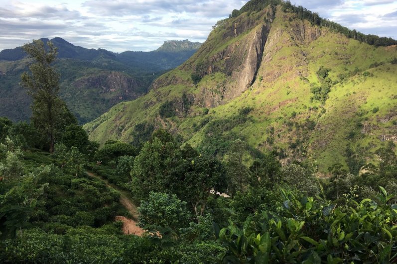 Little Adams Peak - Ella
