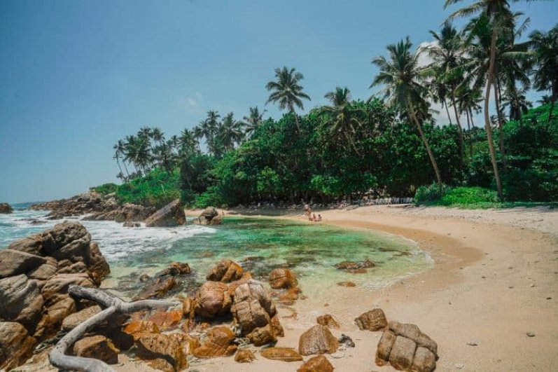 Mirissa Beach and whales watching