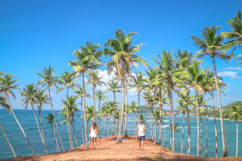 Mirissa Beach and whales watching