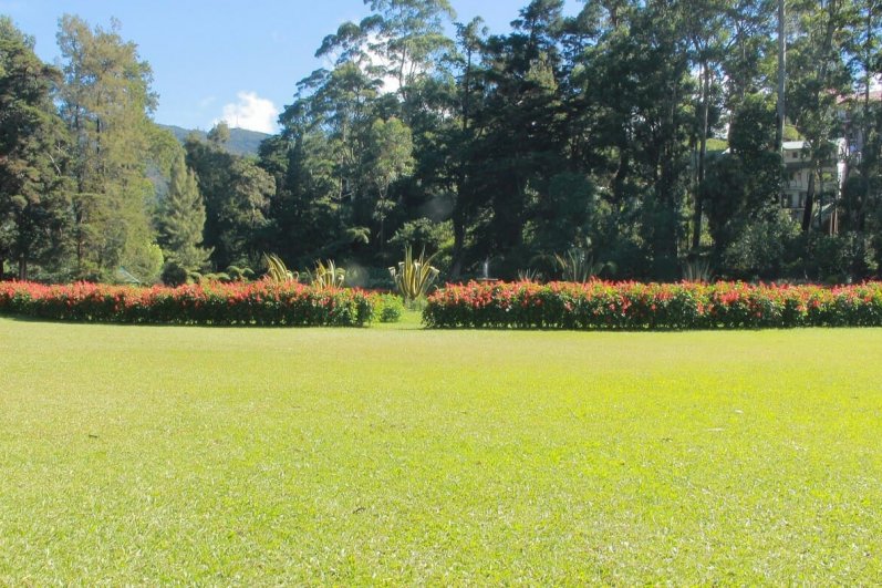 Hakgala Botanical Gardens