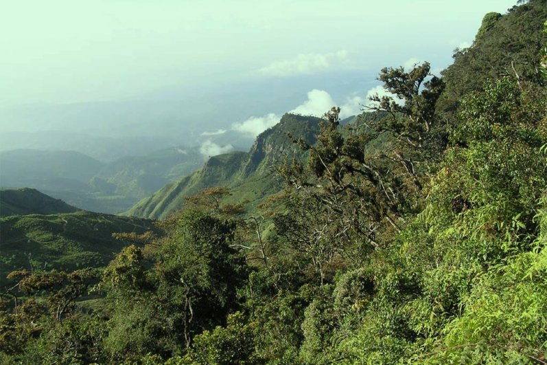 Horton Plains National Park