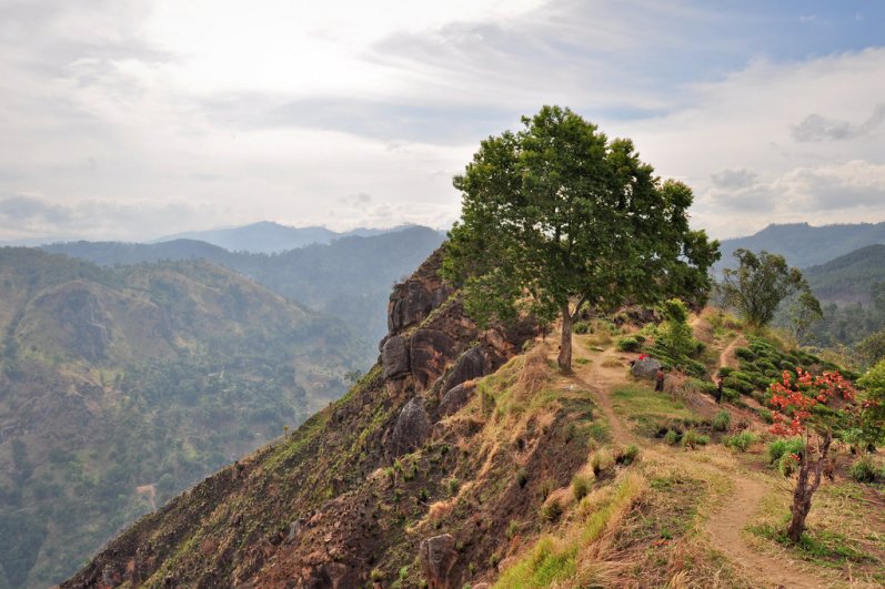 Little Adams Peak - Ella
