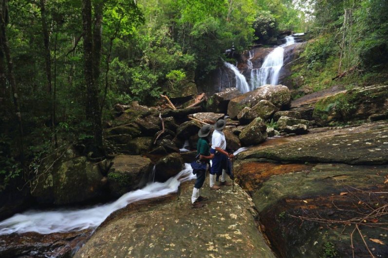 Sinharaja Forest Reserve