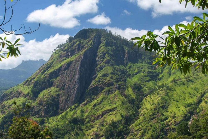 Little Adams Peak - Ella