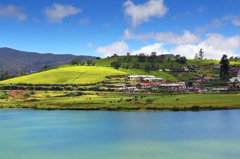 Lake Gregory