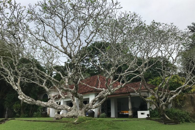 Lunuganga Geoffrey Bawa’s Country Estate