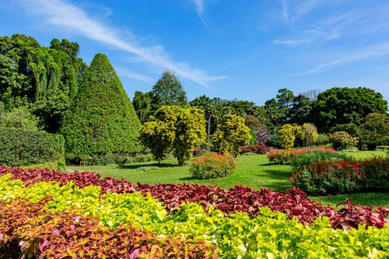Hakgala Botanical Gardens