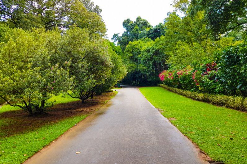 Royal Botanic Gardens